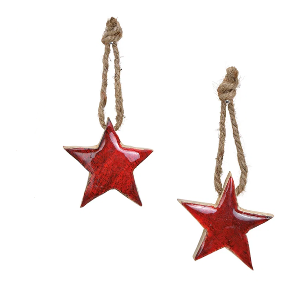 Stelle di Natale